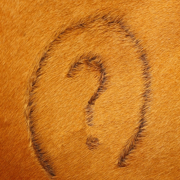 Small business branding - What is yours?