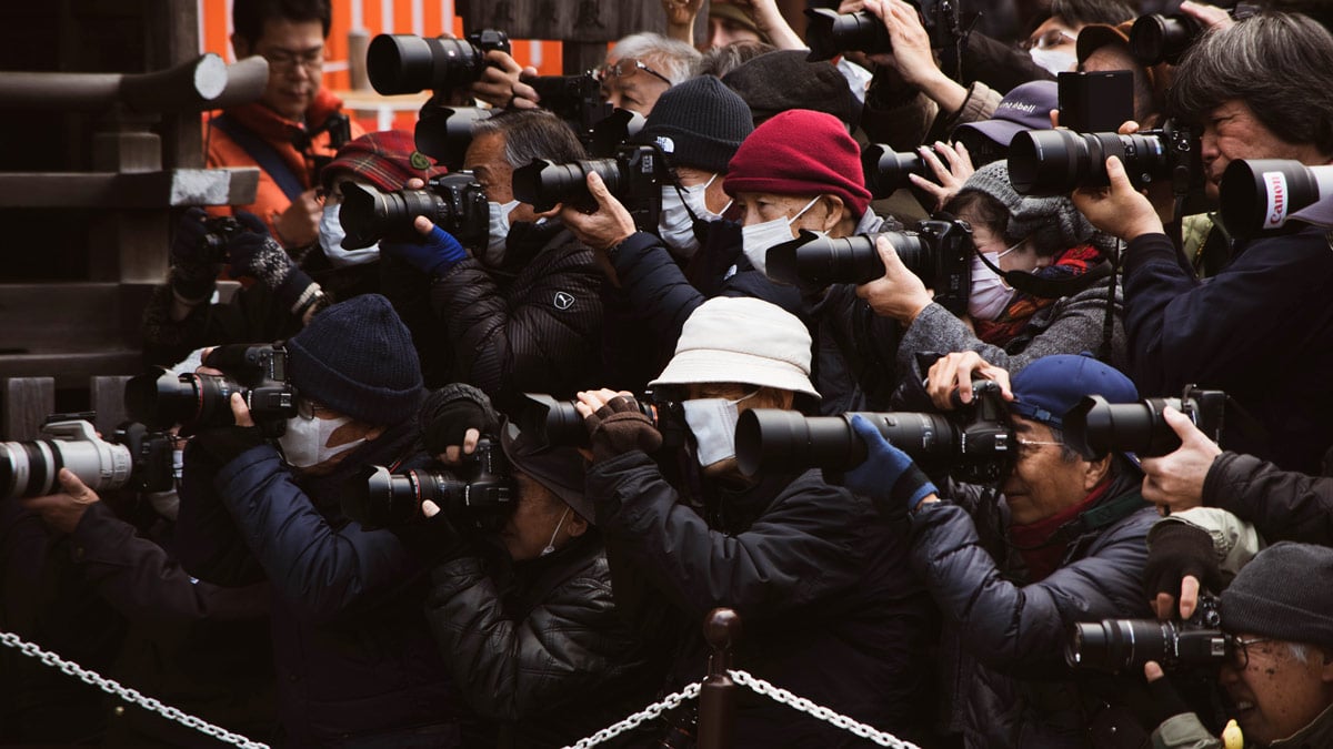 Papparazzi take pictures of celebrities, not influencers